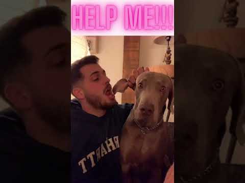 Help me!!!