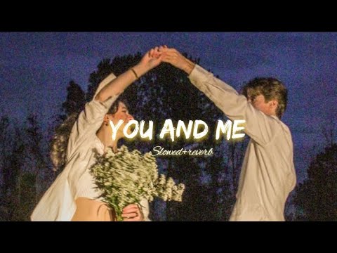 You and Me [Slowed + Reverb] | Shubh