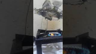 Jugadu trick fish sekne ka stand bna dala hanger ko hi 😂🤣😂 Dark Angel 😇