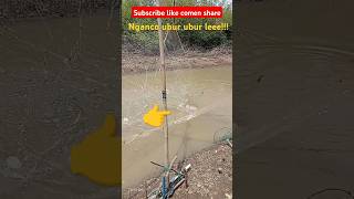 story ngancomania#berandayoutube#masukberanda#netfishing#fishing#mancing#jaring#shorts#trending#feed