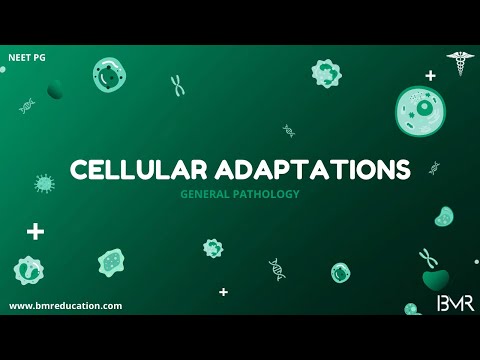 Cellular adaptations | General Pathology 2025 | Types & Mechanisms