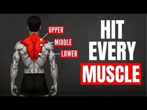 The ONLY 6 Exercises Men Need for INSANE Trap Strength (BIGGER TRAPS NOW)