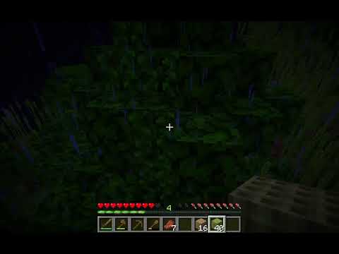 My First Ever Live Stream!