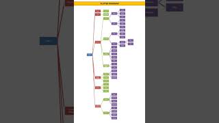 FLUTTER ROADMAP