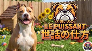 ピットブルの世話の仕方は？｜動物ドキュメンタリー