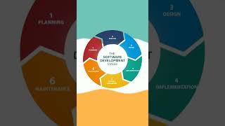 software development process