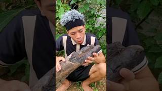Eating Wood 🪵 | Eat Everything #funny #food #shorts