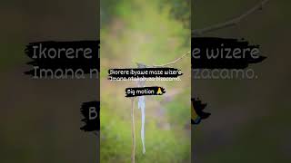 #bigmotion #quotes