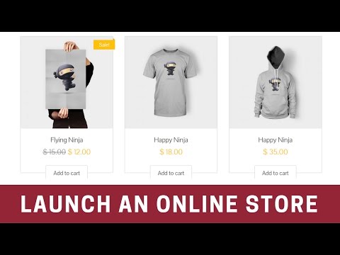 Business Website Part 2 - Setting Up Shop
