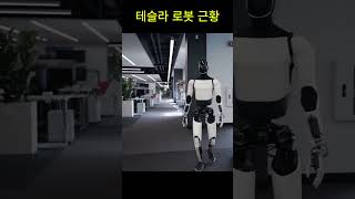 테슬라 로봇 최근 근황 (이제 AI의 휴먼로이드 공격)