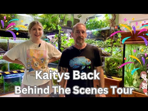 Kaitys Back Behind The Scenes Tour