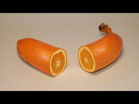 I can make orange rhyme wit banana