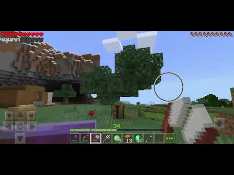 Minecraft (2)