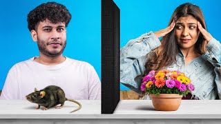 TRUTH OR LIE? THE ULTIMATE GUESSING BATTLE