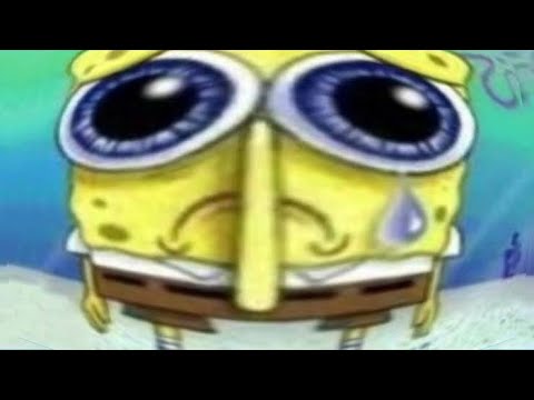 spongebobspongebobspongebobspongebobspongebobspongebobspongebobspongebobspongebobspongebobspongebob.