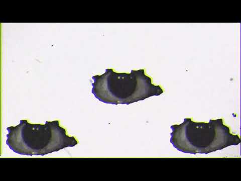 J.A.W.s foundation tapes son