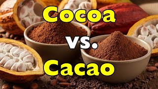 Cacao vs. Cocoa: What's the Real Difference?