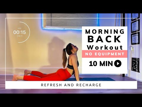 Back workout NO EQUIPMENT only 10 minutes