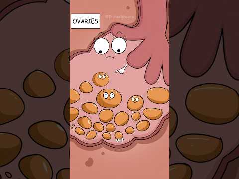 Why Exactly You Miss Your Period?