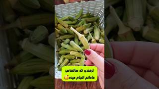 ترفندی که فقط جنوبیا بلدن🔥 ترفند خوزستانی‌ها 🍲 هیشکی بلد نیست