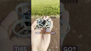 You’ll be SHOCKED how HIGH this tinywhoop goes? #fpv #drone #dronefootage