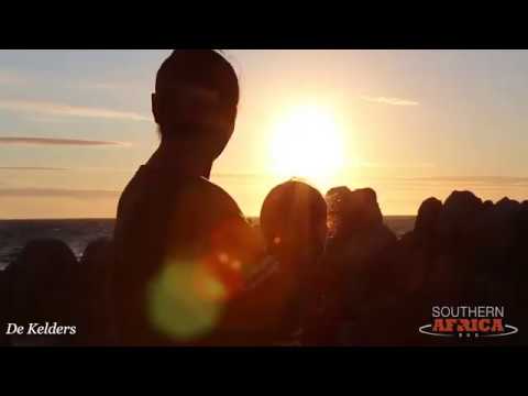 Whale Coast Adventure