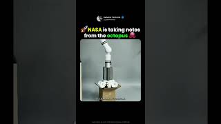 NASA Builds Octopus Robots for Space?! 🐙🚀