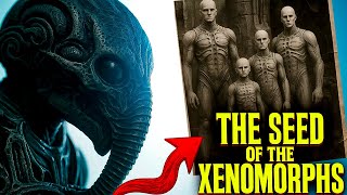 Prometheus Explained: The Lost History of the Engineers