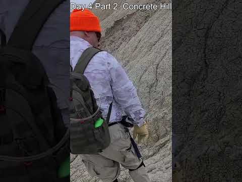 White River Badlands. Day 4 Part 2: Why We Dread Concrete Hill #paleoanalysis #animals #shorts