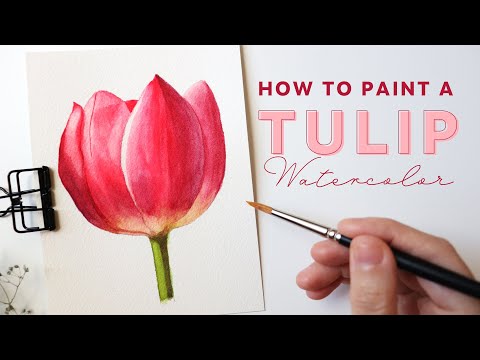 How to paint a tulip in watercolor -Beginner's Tutorial
