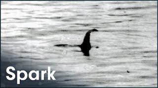 Is It Scientifically Possible For The Loch Ness Monster To Exist?