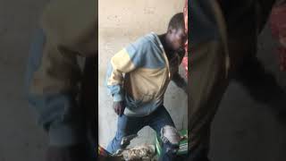 shatter python in action