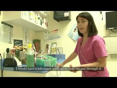 Supported Employment