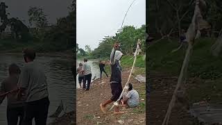 mancing jaring terbaru..semua kawan dapet ikan..!!#shorts