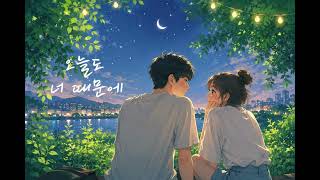 하루종일 너 때문에 🎵 달달한 노래 모음
