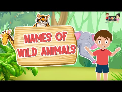 Names of wild Animals | Wild Animals for kids | KooBoo | Animals | English Kids Learning