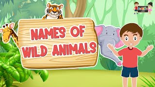 Names of wild Animals | Wild Animals for kids | KooBoo | Animals | English Kids Learning