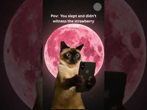 Strawberry Moon 2025