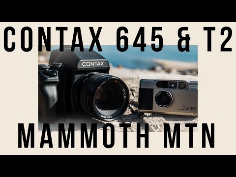 MAMMOTH | Contax 645 & Contax T2 | Portra Pushed