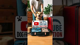 Top Dog Friendly Travel Destinations #dogfriendlytravel #travelwithpets #petfriendlydestinations
