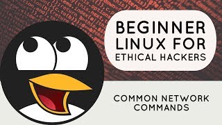 Beginner Linux for Ethical Hackers - Common Network Commands