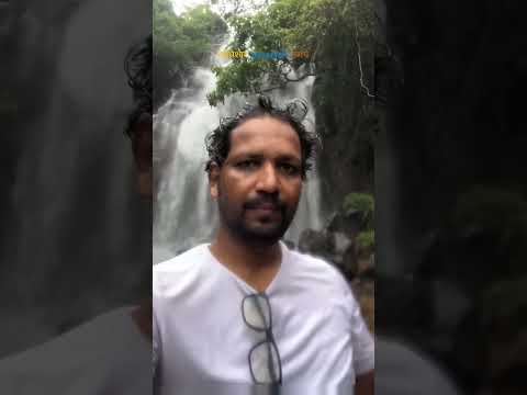 व्याघ्रेश्वर धबधबा / vyaghreshwar waterfall मणचे देवगड सिंधुदुर्ग #viralshorts