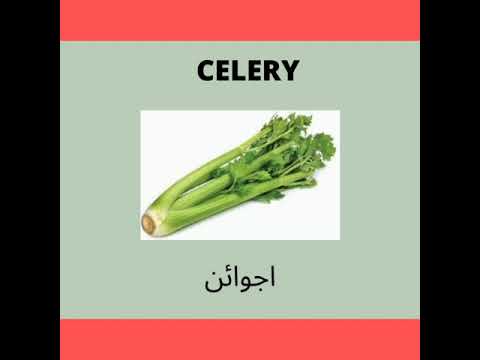 50 vegetables name in English  and  Urdu with picture  part 1