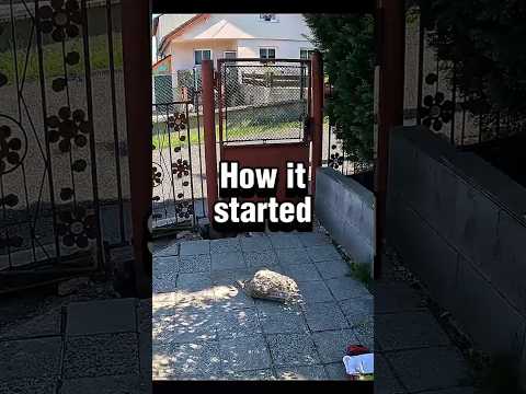 How It Started vs. How It Ended… You Can Too! #ishowspeed #motivation #homeimprovement