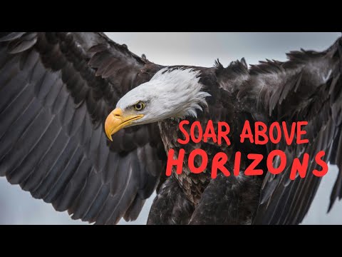 Spirit of the Eagle Motivation