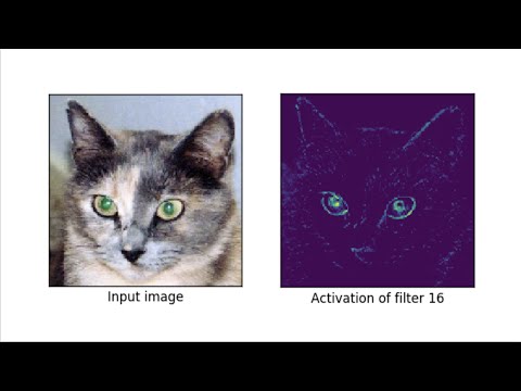 Lecture 7: Convolutional Neural Networks (old version)