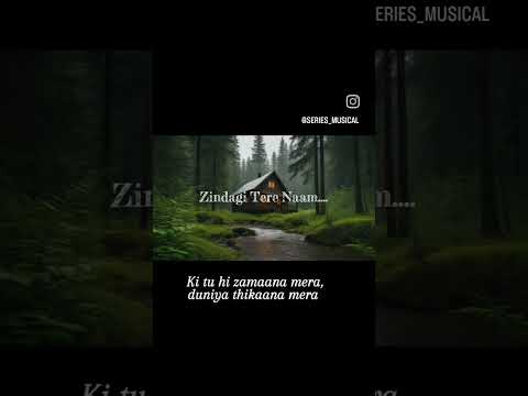 #zindagiterenaam #lovestory #lovesongs #musical #musicaljourney #remixbollywoodsongs #romanticsongs