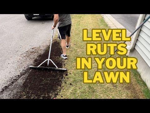 How To Fix and Level Tire Ruts In Your Lawn