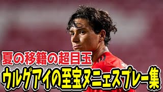 リヴァプールに移籍報道が流れているベンフィカのヌニェスの(ミス）プレー集