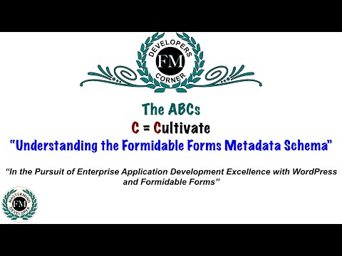 Understanding the Formidable Forms Metadata Schema